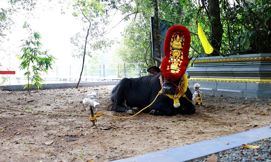 Sree Vethalamkunnu Parabrahma Kshethram